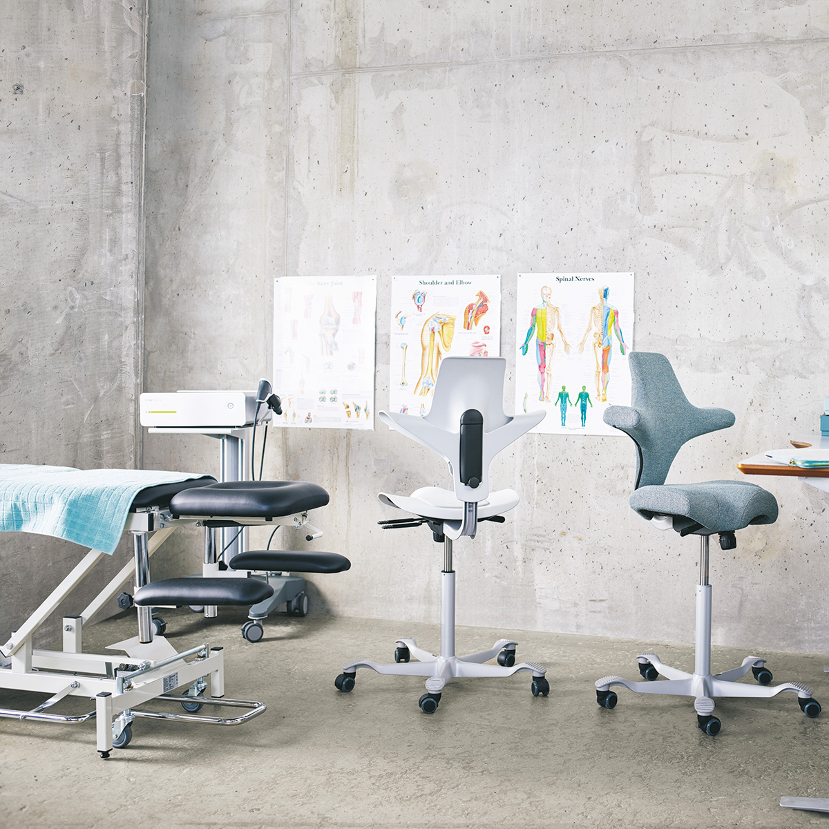 HAG Capisco Puls 8001 drehbarer Sitzhocker mit Sattelsitz und Kisseneinsatz HAG Capisco Puls 8001 drehbarer Sitzhocker mit Sattelsitz und Kisseneinsatz